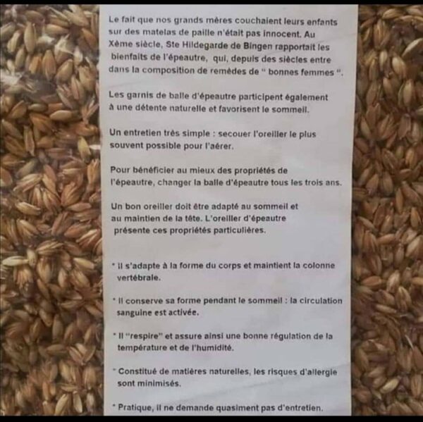 Produit – Image 4