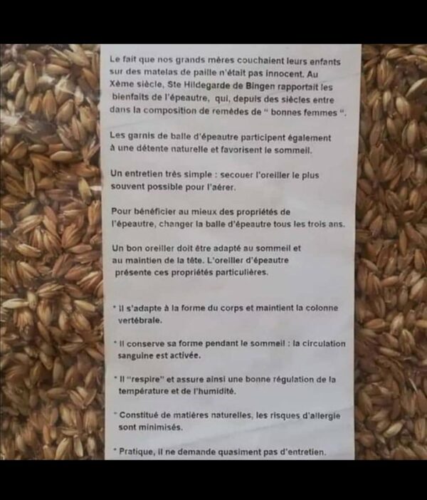 zafu coussin de méditation – Image 4